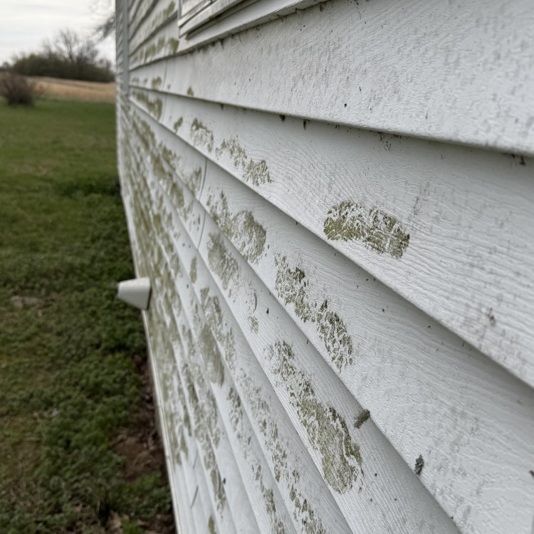 Just another WordPress site